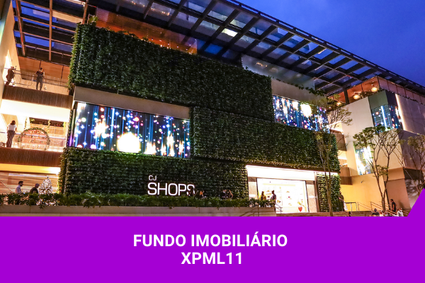 Fundo Imobiliário XPML11 - Os Melhores Investimentos