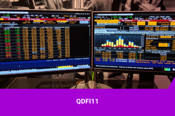 QDFI11 - Os Melhores Investimentos