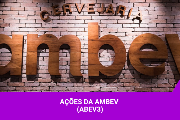 Ações da Ambev - Os Melhores Investimentos