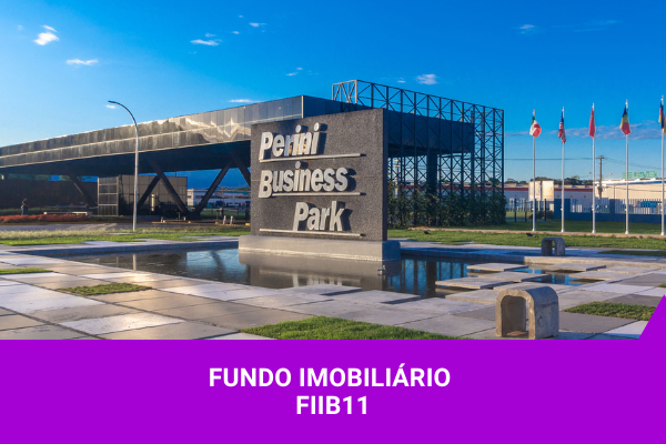 FIIB11 - Os Melhores Investimentos
